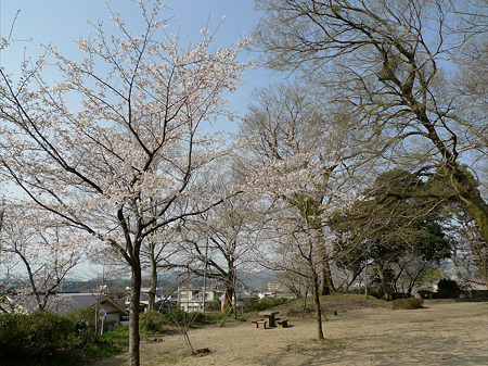亀山公園(3)