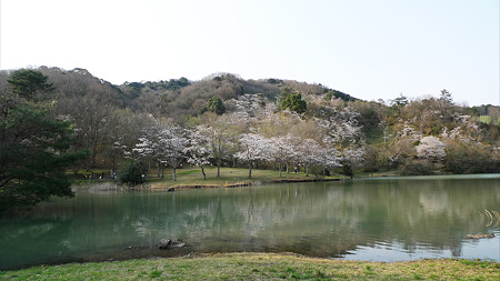 萩尾公園(3)