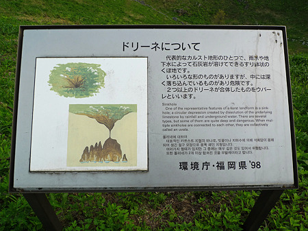 平尾台~茶ヶ床園地付近(5)ドリーネの説明