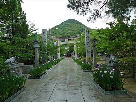 雨の宮地嶽神社(2)