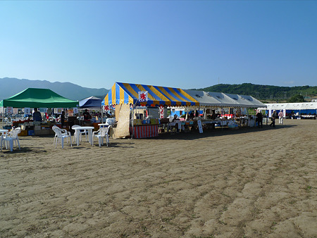 三光コスモス園(22)