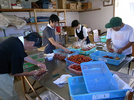 出荷作業中