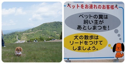 20120528 お散歩