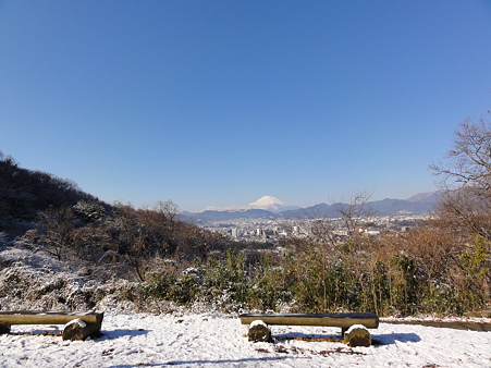雪の日の富士山
