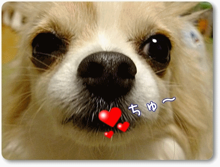 ちゅ~