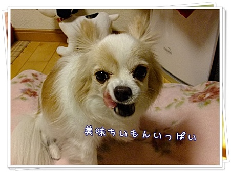 美味ちいもん