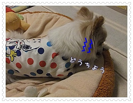 どうちよう