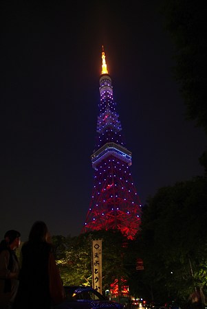 サムライブルー東京タワー (9)