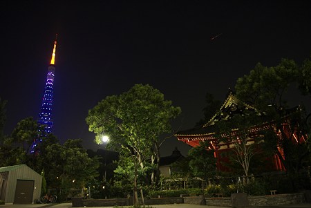 サムライブルー東京タワー (33)