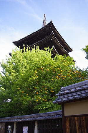 八坂の塔