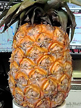 20100913093505