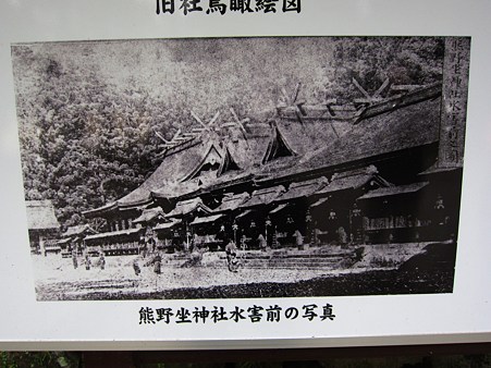 c-110505-105937 大斎原