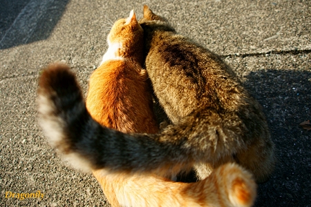なかよし
