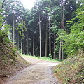 荒坂峠頂上より津山側の下り