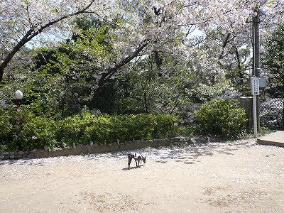 愛宕神社