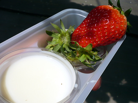 ichigo-3
