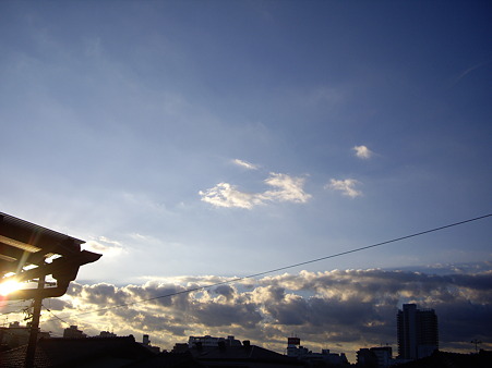 朝 2010-11-29