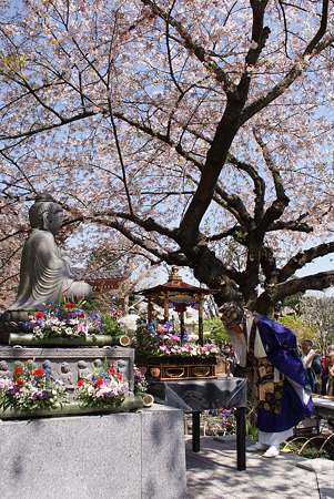 長谷寺