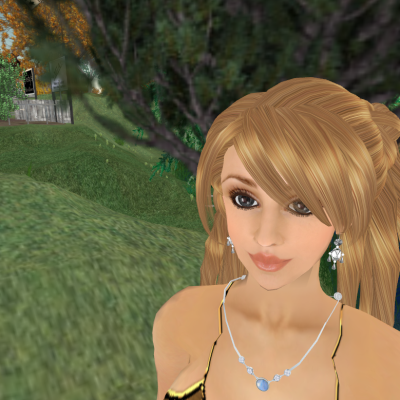Snapshot_06111