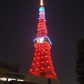 21年度東京タワー特別イルミネーション
